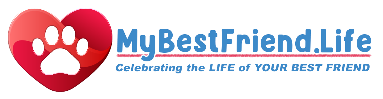 MyBestFriend.Life Logo