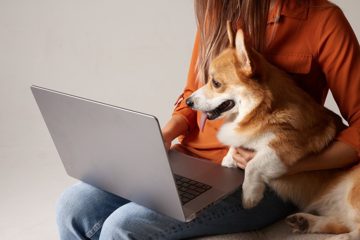 woman holds corgie while on laptop